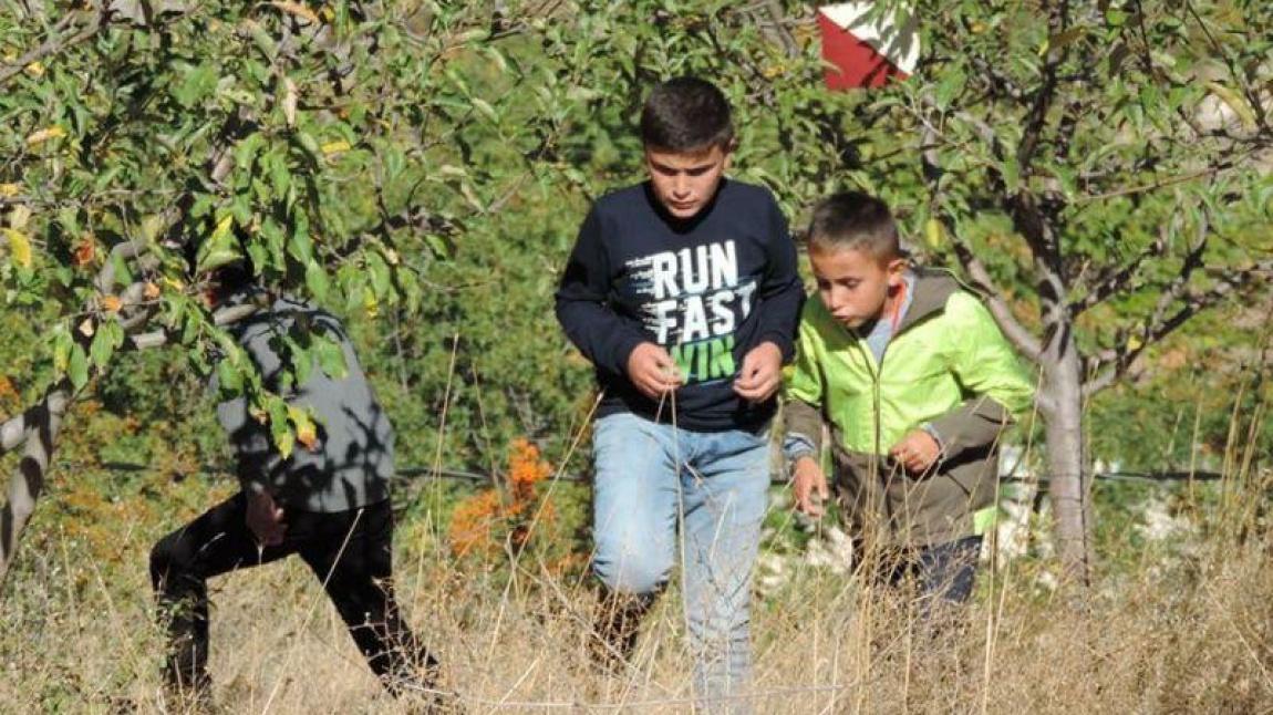 Öğrencilerimizle birlikte doğa gezileri ve bisiklet turları düzenledik